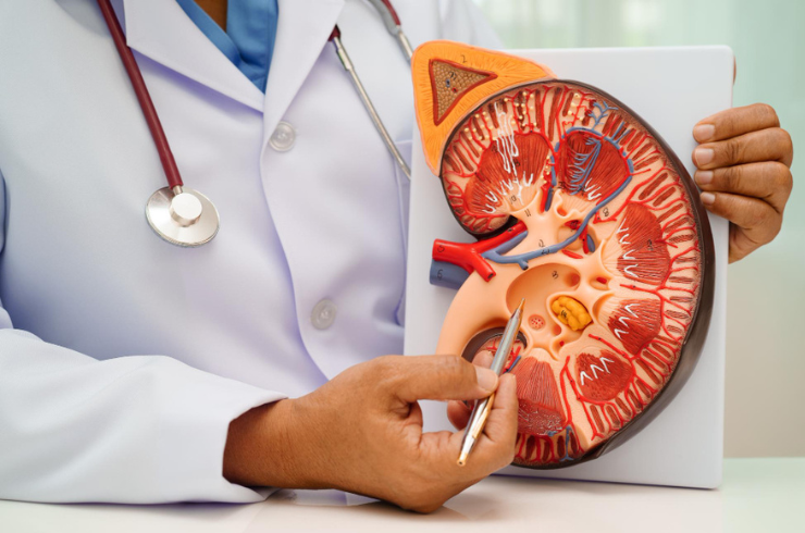 Nephrology & Dialysis Services